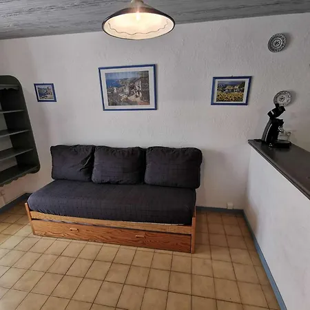 Grande Bleue - 2 Pieces 4 Couchages Port Mae-5344 Apartment *
